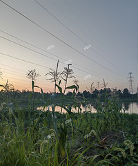 ̫�ɶ��ˣ��������������µ����ף�������������һ������ʣ��