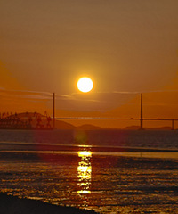 �ۺ�԰֧������