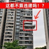 �����϶���Υ���˰ɣ�