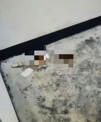 �·���������ʺ��������ȫ�ǳ�ζ��ҵ��������һ����λ