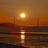 �ۺ�԰֧������