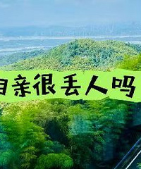 �����Ǻܶ��˵�������