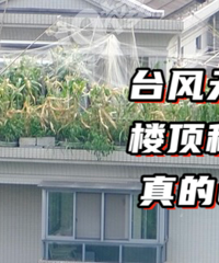 ���ѣ��������ҵ��˾�����