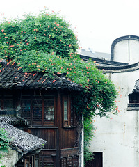 生活在别处 在自己的城市旅行·月河