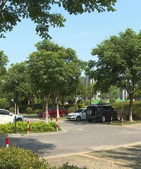 ��������Ƭ����ͣ���������׮����ˢ�£�