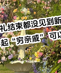 ����Ǯ����VIP�����飡�������ӱ��㿴�������ʽ��