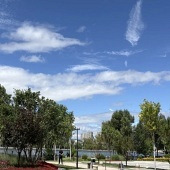 ���Ӻó�����