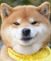 ���֣���Ҿ���Ͷ���Եķ�����ɶʱ��������֡�