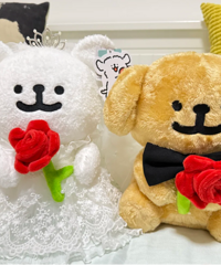 ����С������Ϯ��̫�ɰ��˰ɣ�