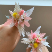 ��������С�����