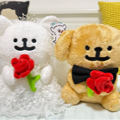 ����С������Ϯ��