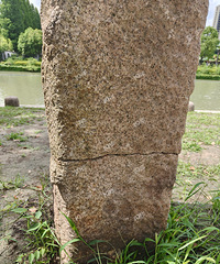 ������԰ʯ����������,ϣ���йز������������Ӻͱ���