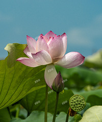 �������ɻ��������ļ���������ȥ����