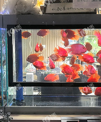 ��ŷѧУ�����᲻������ҵȦ�������о��Ǳ�С�������������涼û