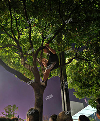 �����ݳ��ỹ��̫ȫ���ˣ������ġ����ݶ������ǡ���·���ɡ�����