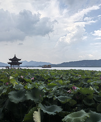 �����ĺɻ����ˣ��˳����࣡�Ǹ������Ҷ������˼��˸�����ȥ��