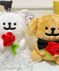 ����С������Ϯ��̫�ɰ��˰ɣ�