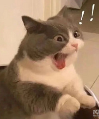 �׶�԰��Ӧ���б�Ҫ�����µĻ������ְ���û�а�ȫ�а�