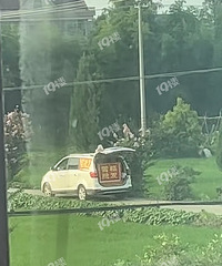 ����Ҳ�������ˣ�ѩ�������Ѿ��������������ˣ���