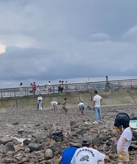 �ɵĲ�ȥ�µĲ��������˱���ĸϺ���ͻȻ����󡭡�