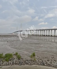 �ɵĲ�ȥ�µĲ��������˱���ĸϺ���ͻȻ����󡭡�