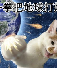网友吐槽!再也不说看房烦了!装修比这烦了一千一万倍!