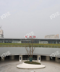 ��Ͷ��1272���򣡼��˻�վ�Ϲ㳡��ҵ��������������70�죡