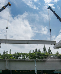 ��Ҷ����ĵģ��������·�������߶������½�չ���ˡ�