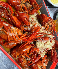 ǿ�ƴ��ȥ����ҵ�С��Ϻ���̵��Ƶľ޺ó� ը�����ִ��