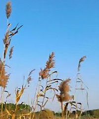 80ĩ��ҵ��λ�����ڹ��� ��90�����