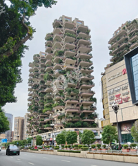 ��ʵ�п��Ĵ�סլ������������ƻõĸо���