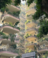 ��ʵ�п��Ĵ�סլ������������ƻõĸо���