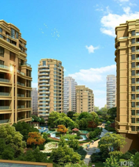 �����������Ů���������������