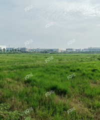 ��ô��������������� ��Щ��ϧ����