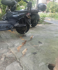 ��ˮ����С����䡰����������ҵ�����������ؼ�ʺ�������ⶼ����