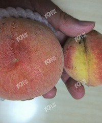 �Լ��ֵĺ�������Ĳ����ô�󣿣���������ô�ֳ����ģ�����