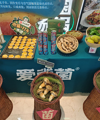 在杭州吃到了传说中的云南野生菌子火锅!爱尝鲜的朋友可冲