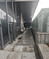 �Ǻ�coco����λ��ƿ��������ͷ�����ܱ�͵�ˣ�