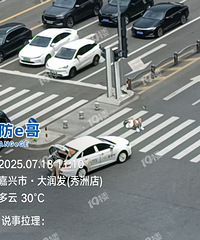 ����·������ײ�ˣ���������·���� ·������̫������ɡ�ˡ�