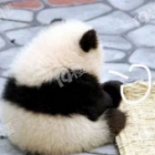 如果老城区棚改了,是不是房价还会跌?