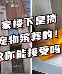 �鳵���ǻҺС������.....