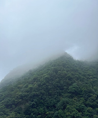真诚寻缘,静候知心人