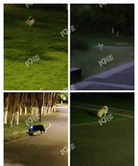 ȥ��԰ɢ���� ���������޹���ǣ�����ģ�