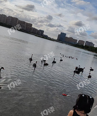 ��������������Χ�ˣ�һ�������Ų���