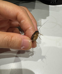 ����ʲô�������ʶ��