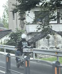 ����ģ�����ţ�����������������ô��Ŀ�ŵ�����