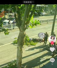 ���ģ������������ƿ������֦ѹ�����Ȼ���������