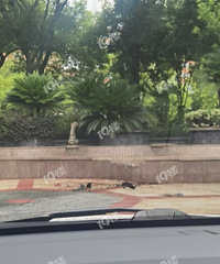 ���ŵ�ɲ�����ˣ������趼��С���ſ��г���ײ�ˡ�