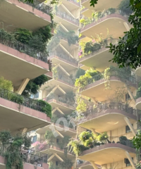 ��ʵ�п��Ĵ�סլ �����ֿƻõĸо���