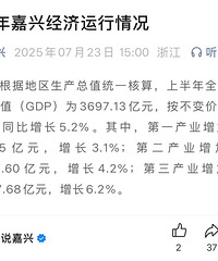 3697.13��Ԫ��2025�ϰ������GDP������